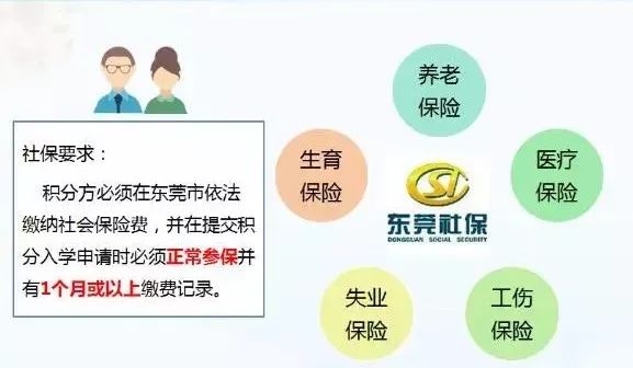 新澳门和香港4949免费精准资料大全,精选解析、专家解析解释与落实