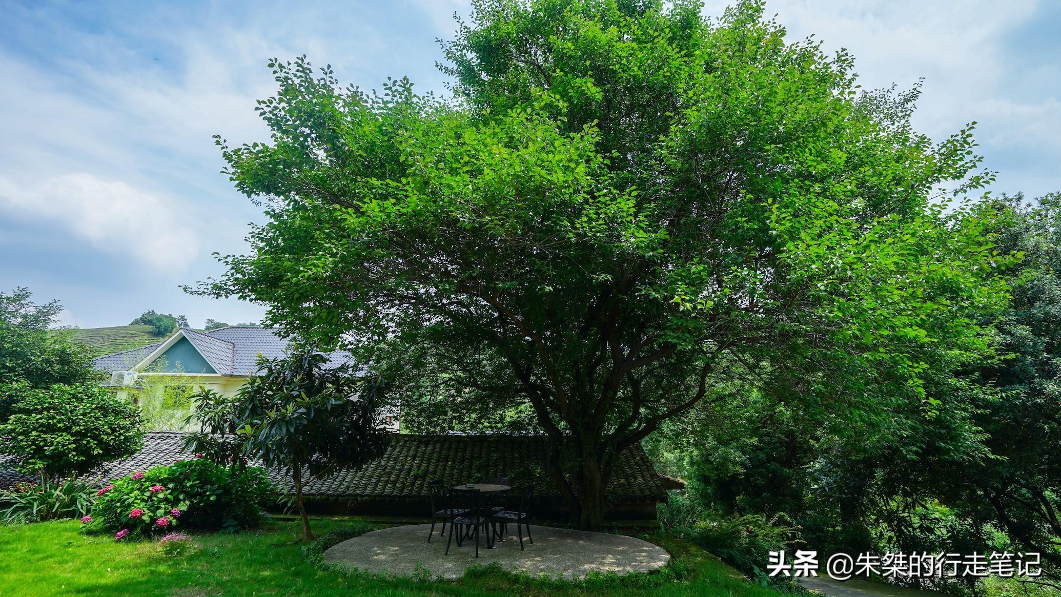 卜广齐，匠心独运的创业领袖与公益先锋